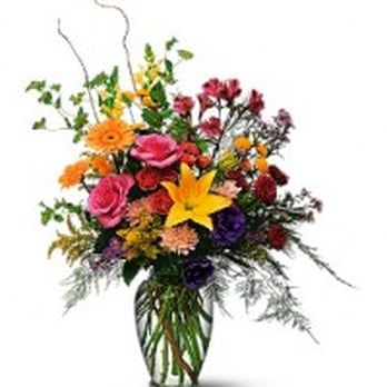 Toronto Florist - Florists Near Me - Toronto, Ontario Toronto Florist - Florists Near Me - Toronto, Ontario