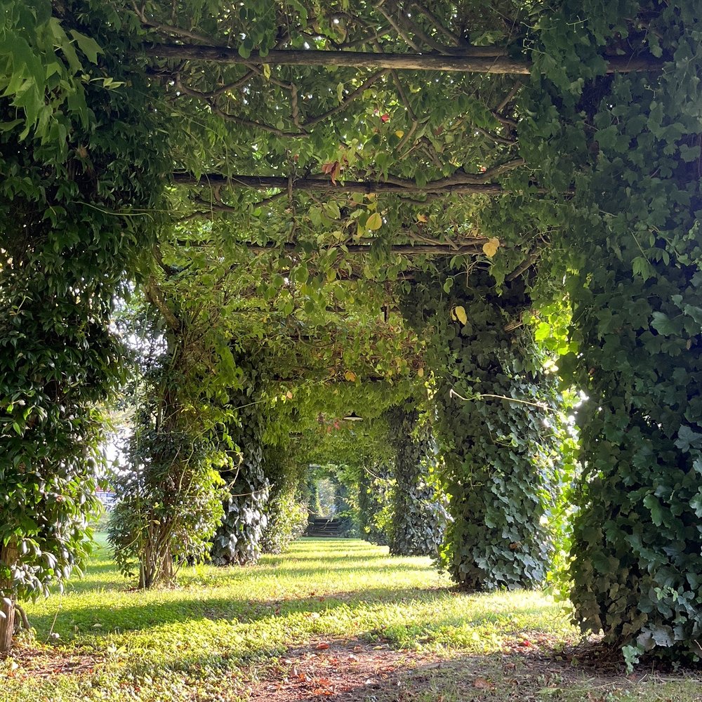 Agriturismo Ca' Danieli - Vine covered walkway - Agriturismi Near Me - Tessera, VE