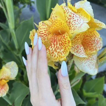 Noor Nail Bar - Gel x manicure by luda - Nail Technicians Near Me - Los Angeles, California Noor Nail Bar - Gel x manicure by luda - Nail Technicians Near Me - Los Angeles, California