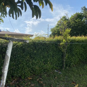 Tech 1 Landscaping - Tree Services Near Me Tech 1 Landscaping - Tree Services Near Me