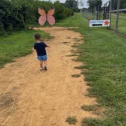 Walk to the flower fields
