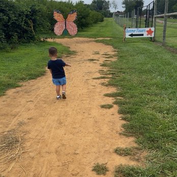 Von Thun Farms - Walk to the flower fields - Attraction Farms Near Me - Washington, New Jersey
