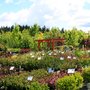 Photo of Aspen Nursery