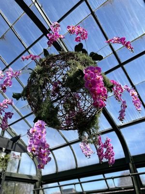 Floral Showhouse by null