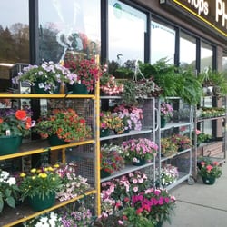 Lebanon Shops Pharmacy