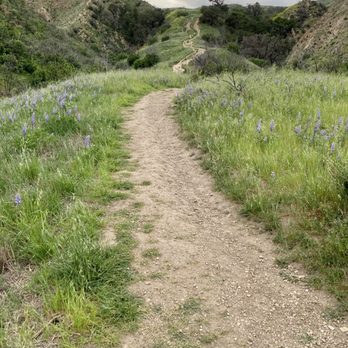 O'Melveny Park - hills, hills and more hills here... - Parks Near Me - Granada Hills, California