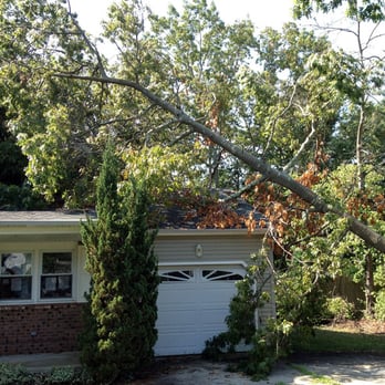 Meinhart's Tree Service - Tree Services Near Me - Sewell, New Jersey Meinhart's Tree Service - Tree Services Near Me - Sewell, New Jersey