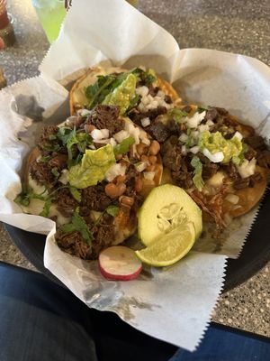 Tacos tj 664 by null