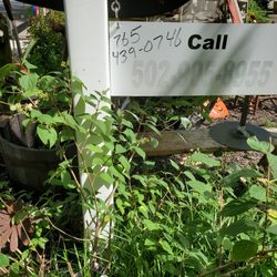 Eclectic Gardens - New phone number