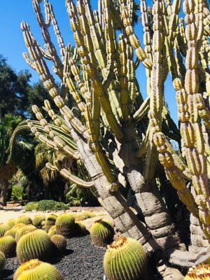 Ganna Walska Lotusland by null