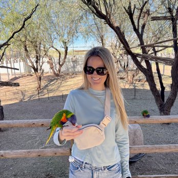 Rooster Cogburn Ostrich Ranch - Loved the parakeets - Petting Zoos Near Me - Picacho, Arizona