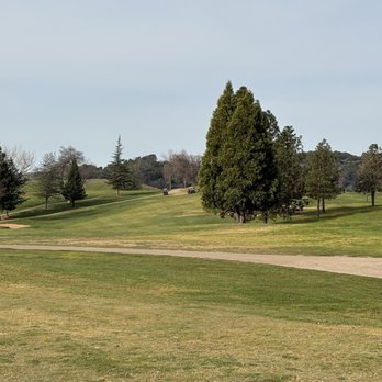 Teleli Golf Club - Tee shot on the 3rd or 4th, blind to the green, which is behind all the he trees on the right and slightly uphill - Bars Near Me - Sonora, California Teleli Golf Club - Tee shot on the 3rd or 4th, blind to the green, which is behind all the he trees on the right and slightly uphill - Bars Near Me - Sonora, California