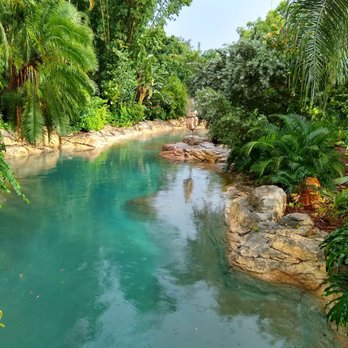 Discovery Cove - What can I say... Think Hawaii in Orlando - Amusement Parks Near Me - Orlando, Florida
