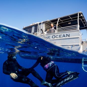 One Ocean Diving - Getting comfortable in the water - Free Diving Near Me - Haleiwa, Hawaii One Ocean Diving - Getting comfortable in the water - Free Diving Near Me - Haleiwa, Hawaii