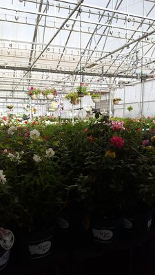 Ladybug Nursery 42 S Westview Dr Cedar City Ut Nurseries Mapquest