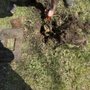 Photo of Roto-Rooter Plumbing & Drain Service