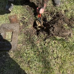 Roto-Rooter Plumbing & Drain Service