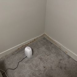 Quality Restoration - Pictures of the damages and mold