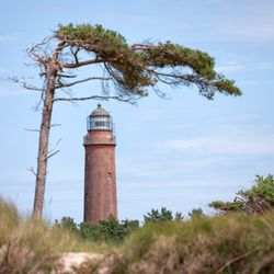 NATUREUM Darßer Ort - Der Leuchtturm auf dem Gelände des NATUREUMs bietet einen weiten Ausblick über die Küstenregion (©Anke Neumeister/Deutsches Meeresmuseum)