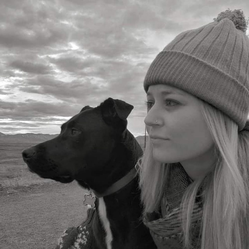 Lay N' Stay Pet Nanny - pet boarding facility in Littleton, CO