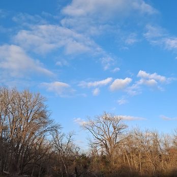 Belton Lake - Cedar Ridge Park - Parks Near Me - Temple, Texas Belton Lake - Cedar Ridge Park - Parks Near Me - Temple, Texas