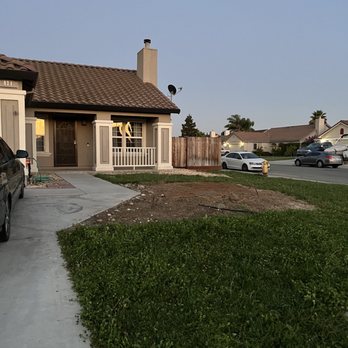 Appletree Services - Palm Tree removed - Tree Services Near Me