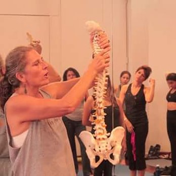 Rebecca's Yoga and Bodywork - anatomy in yoga teacher training - Yoga Near Me Rebecca's Yoga and Bodywork - anatomy in yoga teacher training - Yoga Near Me