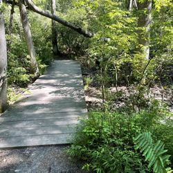 Shark River Park