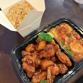 Supreme Taste - Dragon & Phoenix with Fried Rice - Chinese Near Me - Houston, Texas