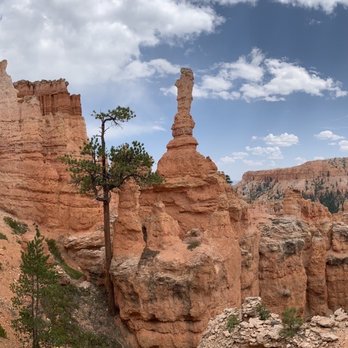 Canyon Trail Rides - Never gets old! - Horseback Riding Near Me - Tropic, Utah Canyon Trail Rides - Never gets old! - Horseback Riding Near Me - Tropic, Utah