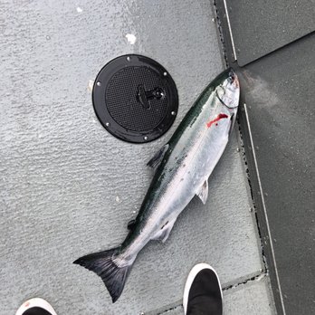 Compass Rose Charters - Blood on deck! - Fishing Near Me - Sitka, Alaska Compass Rose Charters - Blood on deck! - Fishing Near Me - Sitka, Alaska