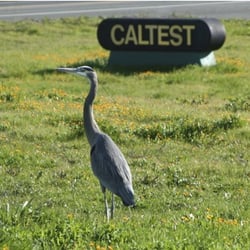 Caltest Analytical Laboratory - Caltest sign
