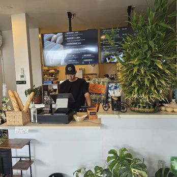 Le’s Banh Mi - Huge good luck bamboo plant which is a good sign - Cafes Near Me - Honolulu, Hawaii