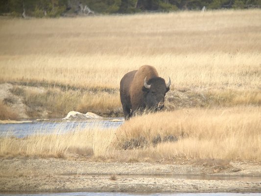 Jackson Hole EcoTour Adventures by null