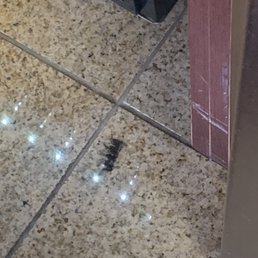 Another fake eyelash in the lobby. We had to wait 20 minutes in line to check in. Another fake eyelash in the lobby. We had to wait 20 minutes in line to check in.