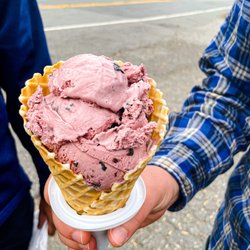 Front Porch Creamery - Black cherry with regular waffle cone