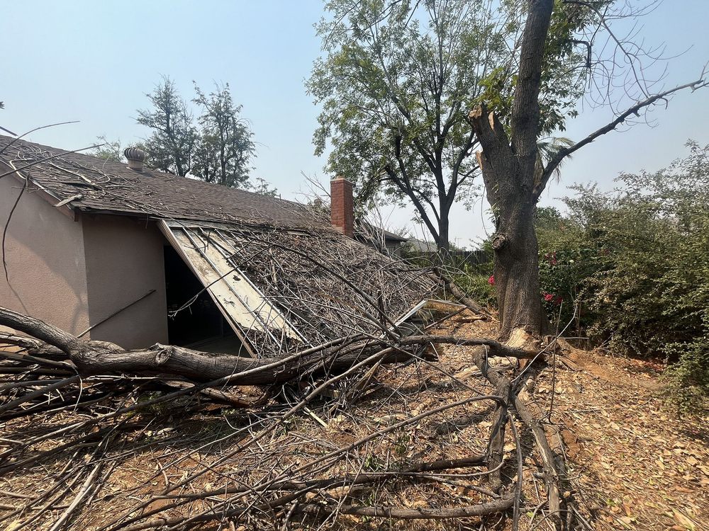 Slide of Oscar & Rosa