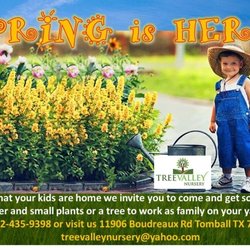 Tree Valley Tree Farm - Email, text or call for delivery or curbside pick up. treevalleynursery@yahoo.com 832-435-9398
