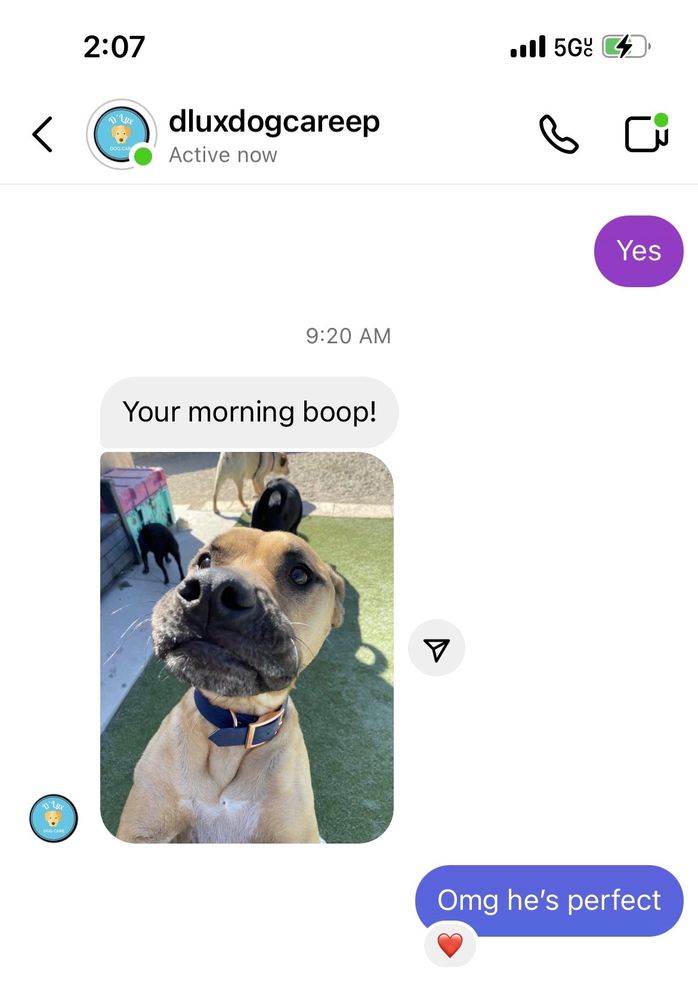 D’LUX DOG CARE Updated September 2024 2030 Montana Ave, El Paso