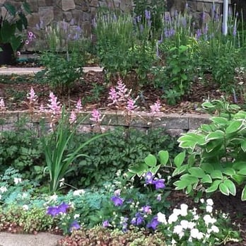 Stonecrop Design - a garden with various flowers - Gardeners Near Me - Minneapolis, Minnesota