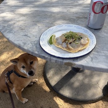 Mariscos Za Za Za - yellowtail tostada - Seafood Near Me - Los Angeles, California