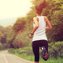 Algiere Chiropractic