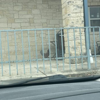 Bulverde Bexar Veterinary Clinic - They did have some animals wandering outside - Veterinarians Near Me - San Antonio, Texas Bulverde Bexar Veterinary Clinic - They did have some animals wandering outside - Veterinarians Near Me - San Antonio, Texas