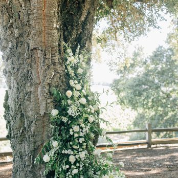 Dragonfly Floral - Florists Near Me - Healdsburg, California