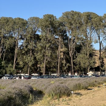 123 Farm - Farmers Market Near Me - Cherry Valley, California 123 Farm - Farmers Market Near Me - Cherry Valley, California