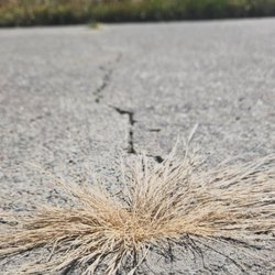 Bl Landscapes - 18 moths later, no project, no refund