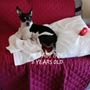 Red Bank Animal Hospital