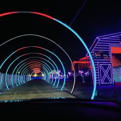 The Light Park