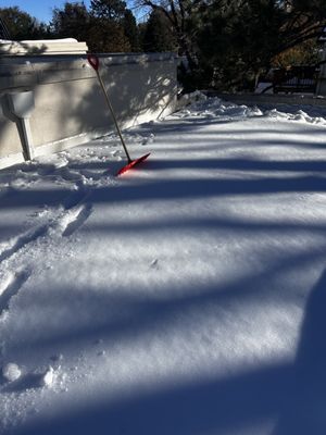 Pineda Junk Services