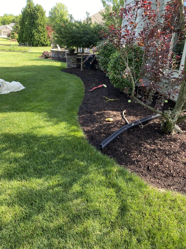 DREYER LAWN CARE Updated August 2024 15150 W Mayflower Ct, New